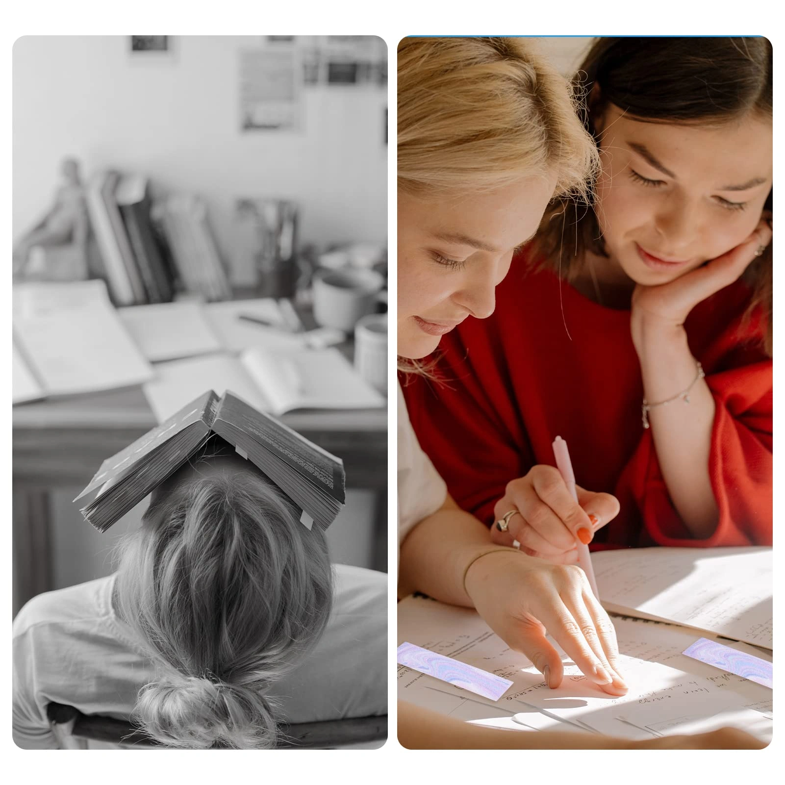 Coursework Assistance